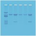 Detection of Genetically Modified Organisms